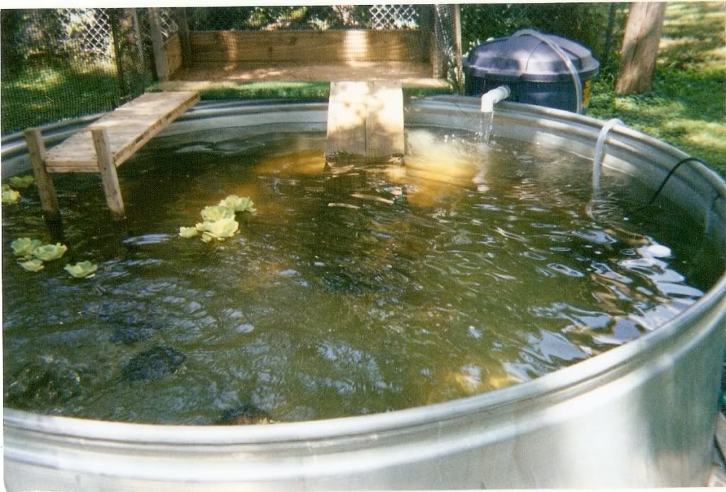 8Foot Diameter Stock Tank Pond Habitats and Equipment Turtle Forum